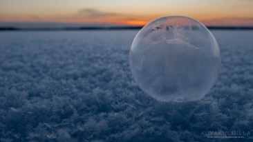 Frozen bubble Tero Hintsa